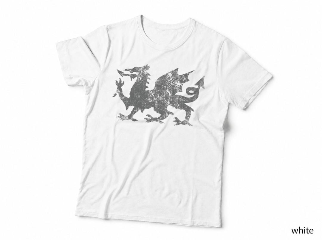 Welsh Flag Heraldry Dragon Welsh soccer St David's day Wales T-Shirt