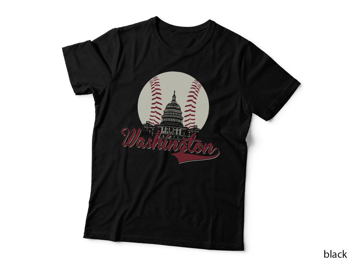 Retro Washington DC Baseball National Mall Silhouette Sport T-Shirt