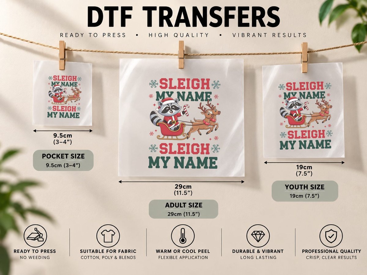Sleigh My Name Sarcastic Animal, Raccoon in Santa Sleigh DTF Transfer Iron On