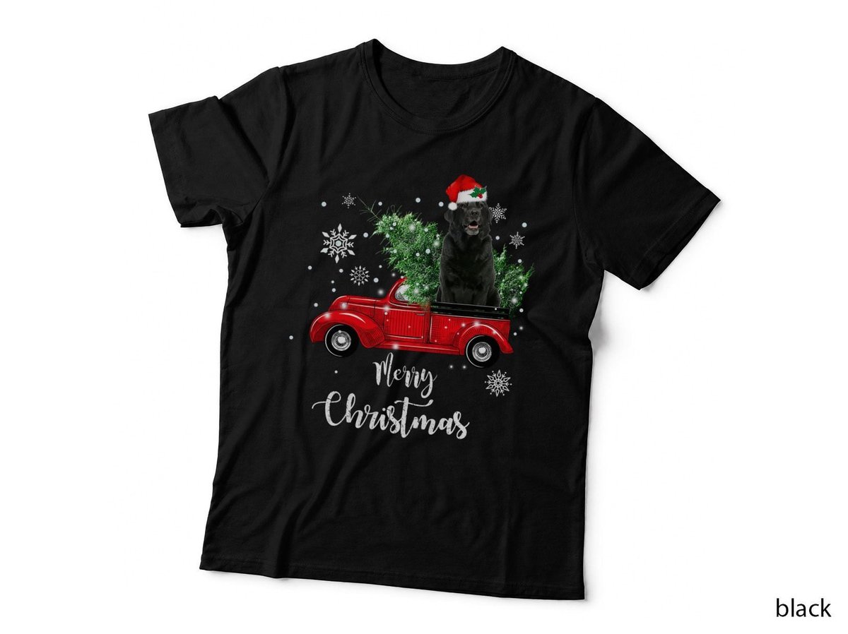 Black Lab Labrador Ride Red Truck Christmas Pajama, Dog Lover Gift T-Shirt