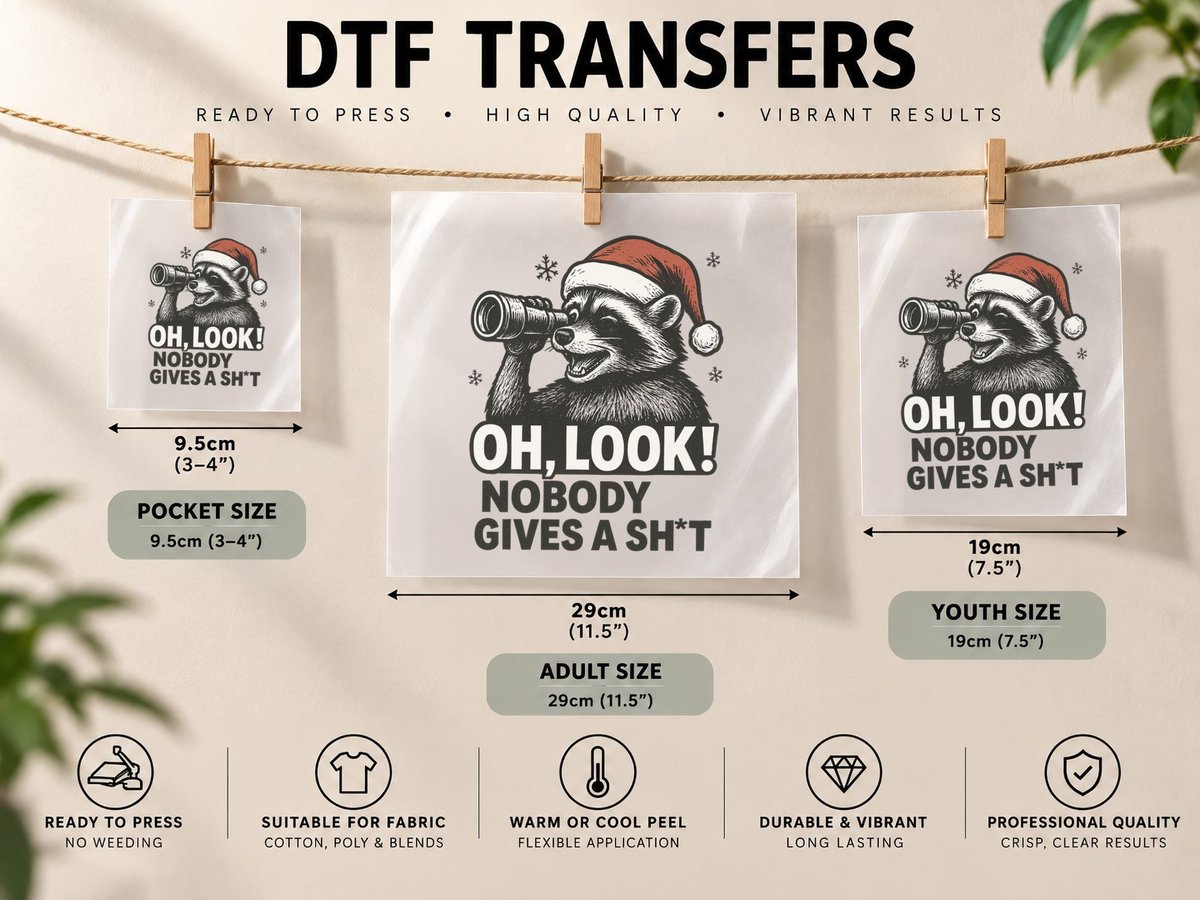 Funny Raccoon Oh Look Nobody Cares Sarcastic Humor DTF Transfer Iron On