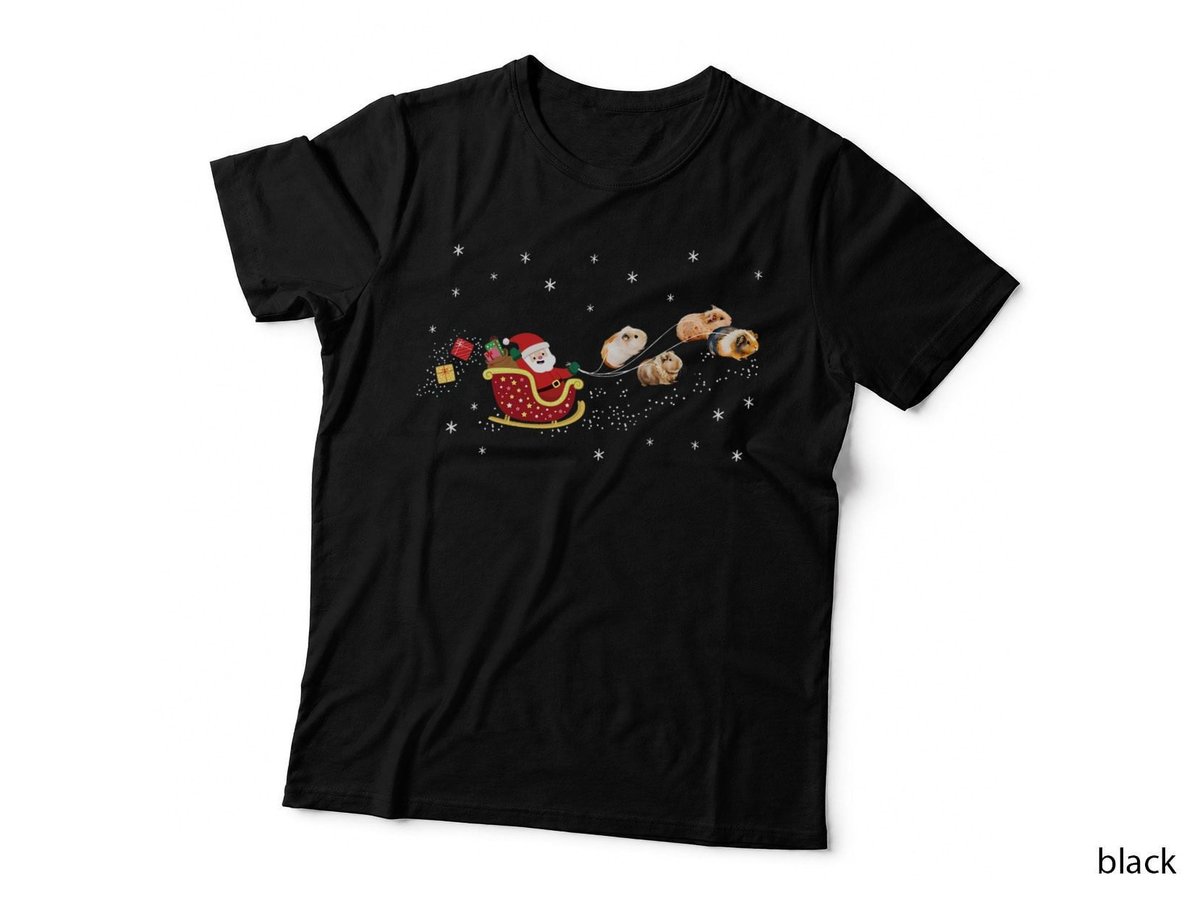 Guinea Pig Christmas Santa Clause, Holiday Pet Lover Gift T-Shirt