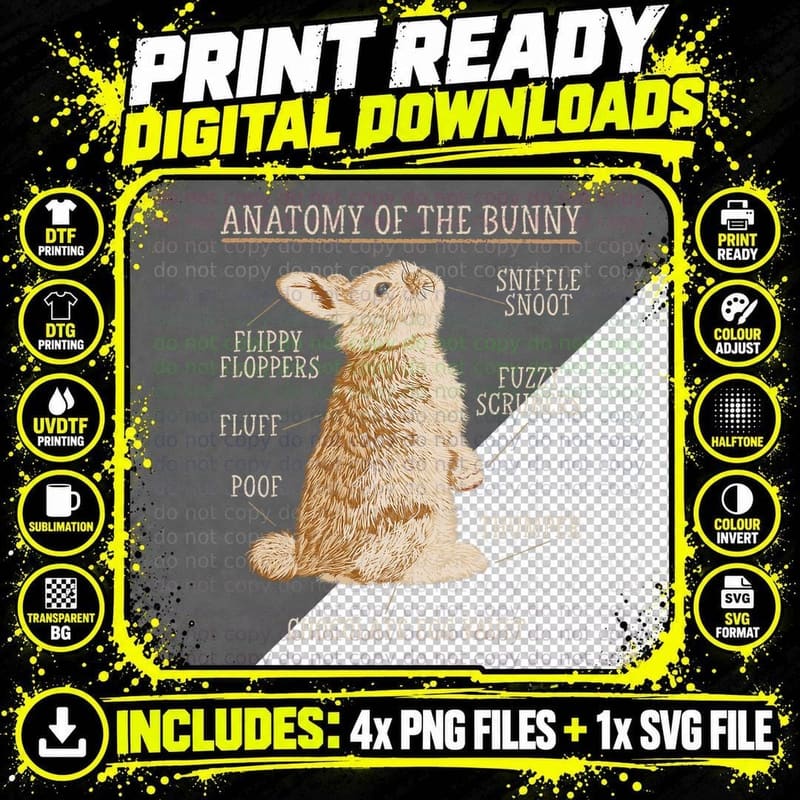 Rabbit Anatomy Bunny Lover Animal Pet Owner T-Shirt Png SVG Digital Bundle