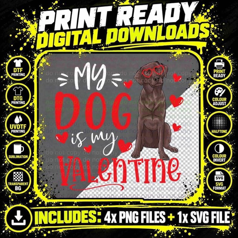 My Dog Is My Valentine Chocolate Labrador Valentines Day Png SVG Digital Bundle