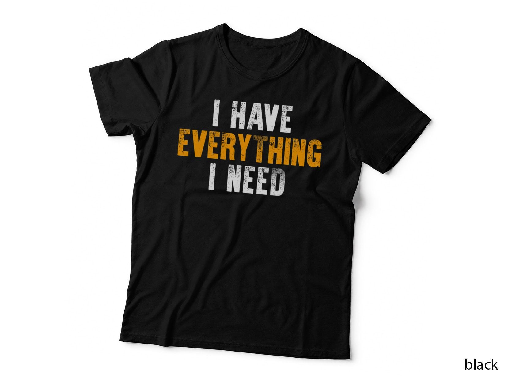 I Have Everything I Need Valentines Day Matching Couple T-Shirt