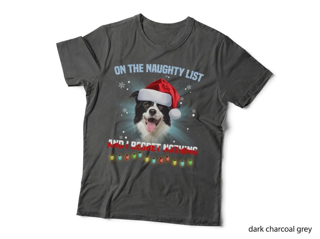 Border Collie Santa Hat Christmas T-Shirt, Holiday Humor, Pet Lover Apparel