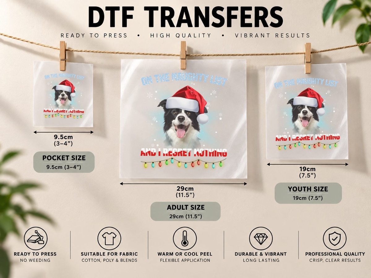 Border Collie Santa Hat Christmas, Holiday Humor, Pet Lover DTF Transfer Iron On