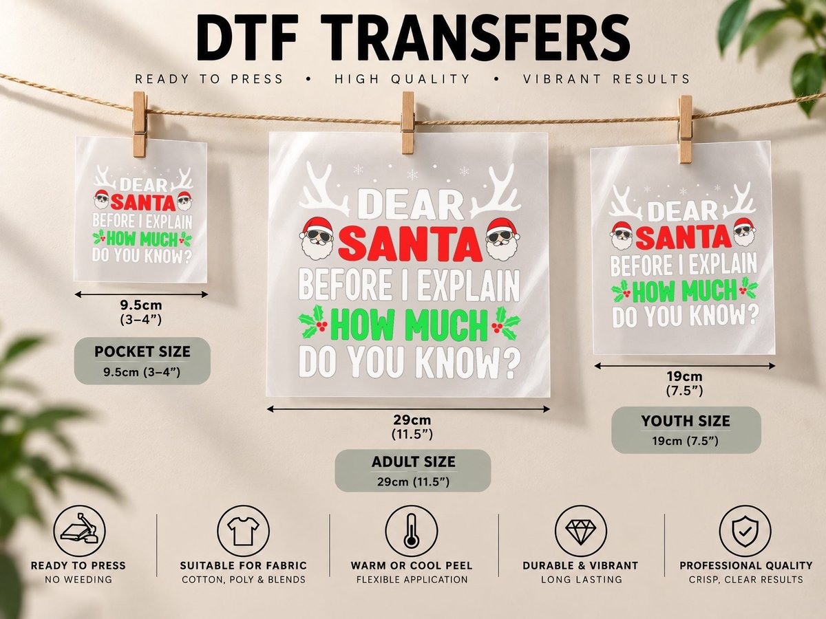 Funny Christmas, Kids Adults Dear Santa I Can Explain DTF Transfer Iron On