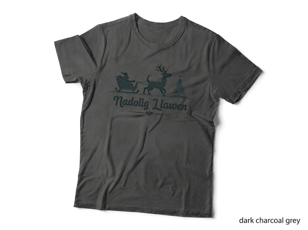 Welsh Reindeer Nadolig Llawen Santa T-Shirt