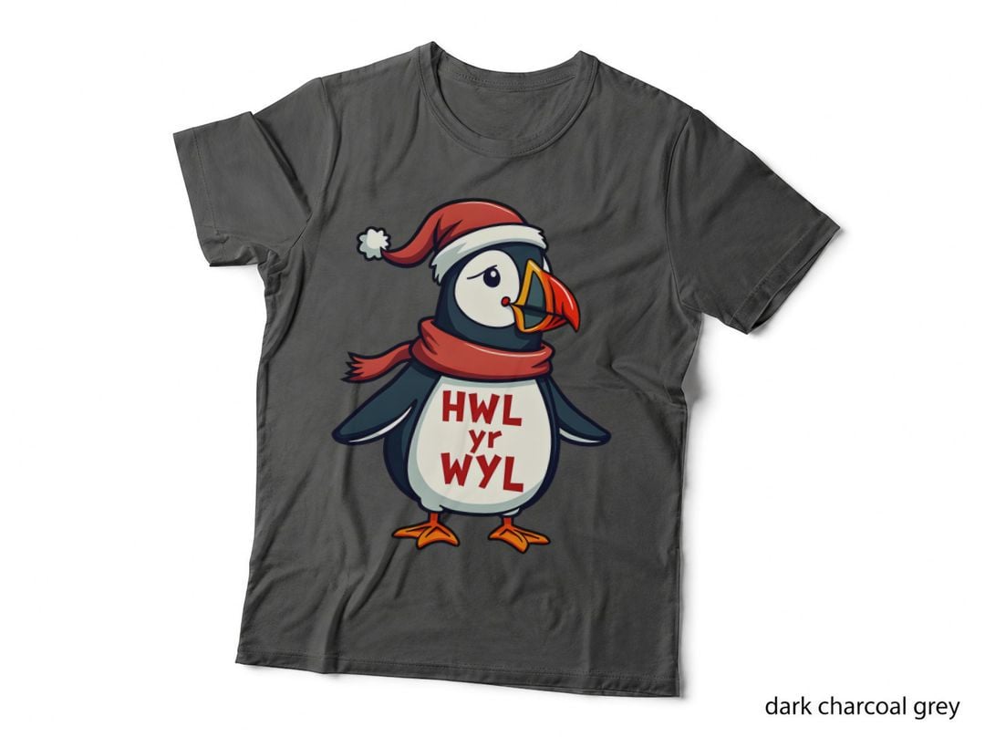 Hwyl Yr Wyl Festive Puffin T-Shirt