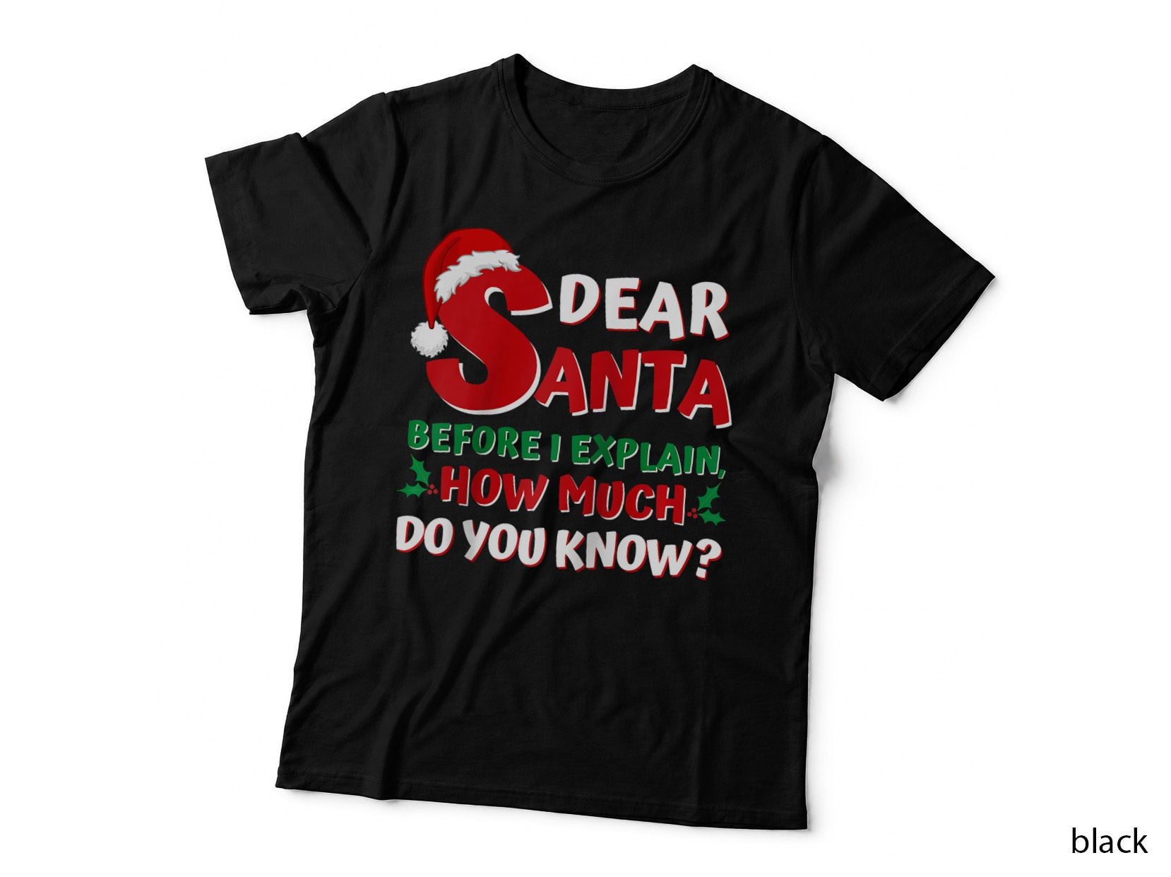 Funny Christmass Kids Adults Santa I Can Explain T-Shirt