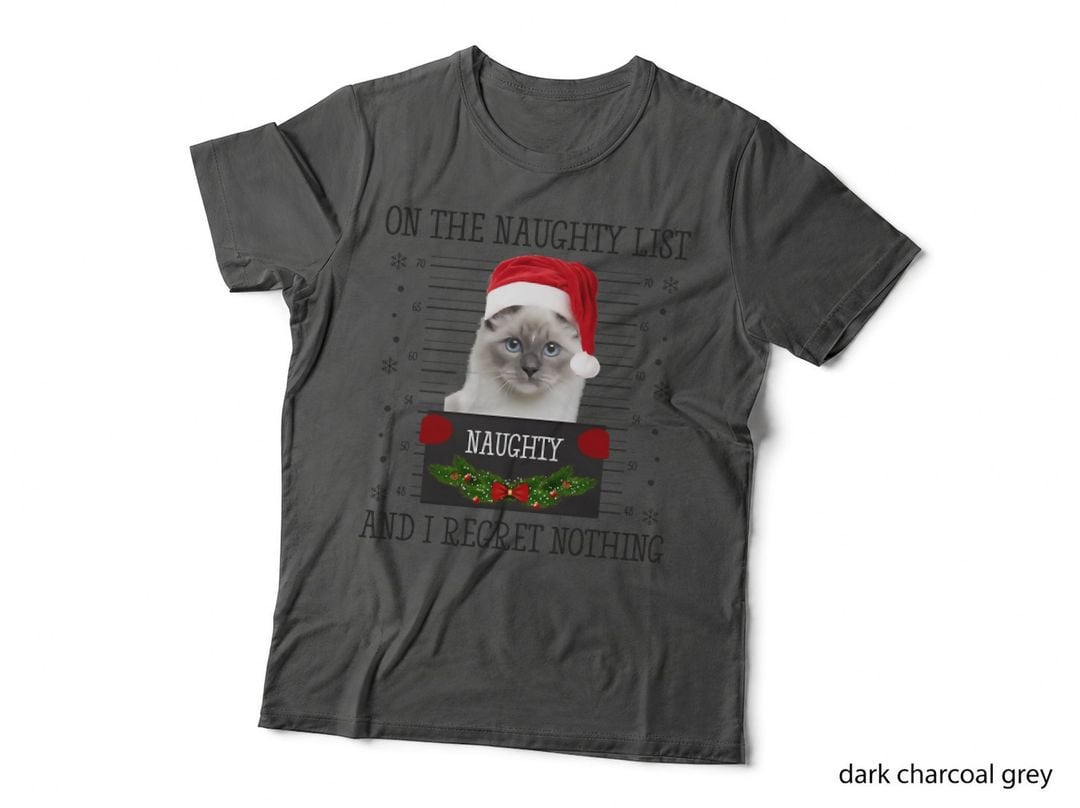 On the Naughty List, and I Regret Nothing Crewneck Sweatshirt T-Shirt