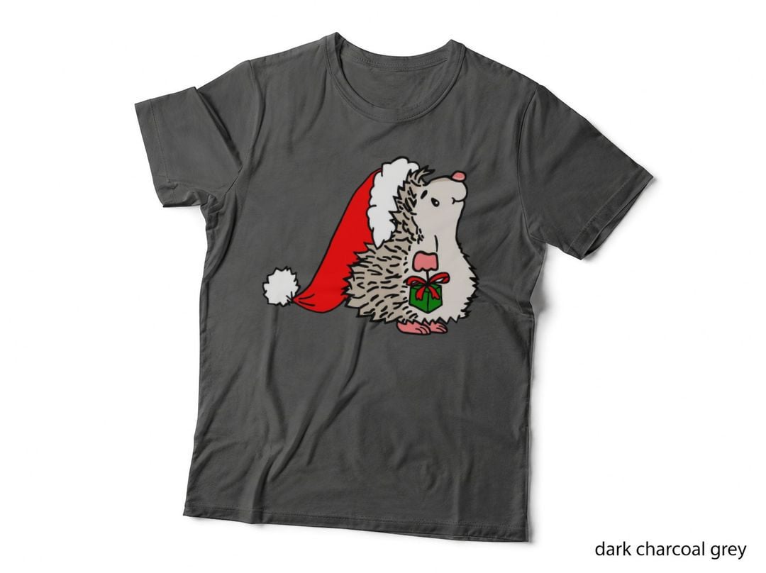Santa Hedgehog Crewneck Sweatshirt, Xmas Present, Festive Wear T-Shirt