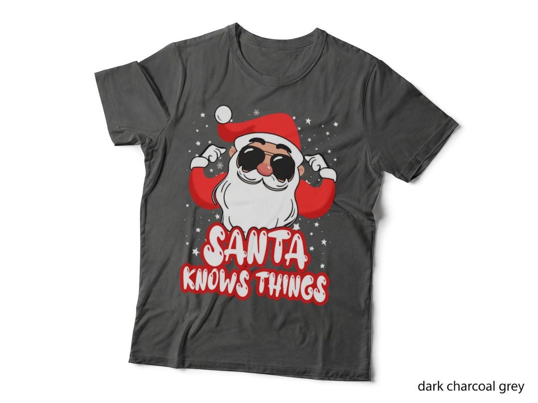Santa Knows Things Crewneck Sweatshirt, Holiday Gift, Xmas Present T-Shirt