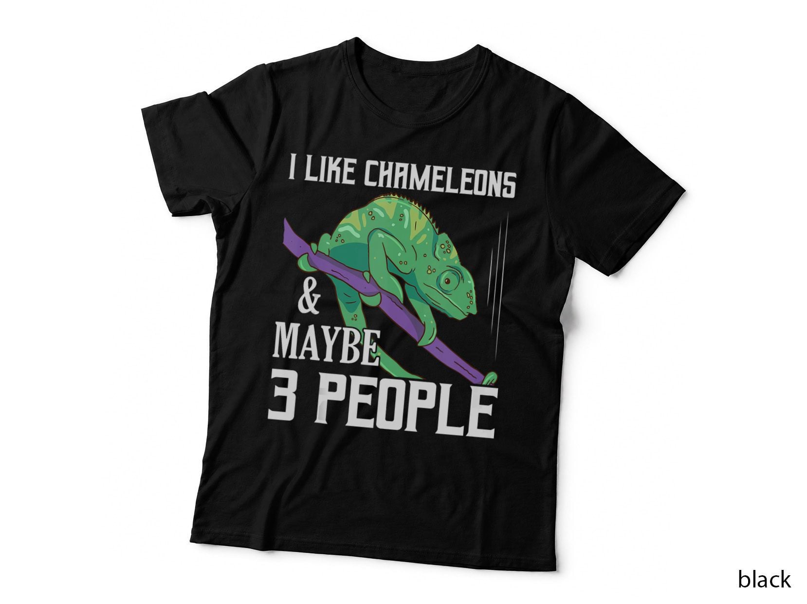I Like Chameleons & Maybe 3 People Reptile Lizard Lover T-Shirt