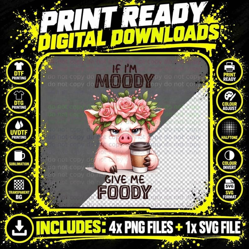 If I'm Moody Give Me Foody Funny Cat T-Shirt Png SVG Digital Bundle