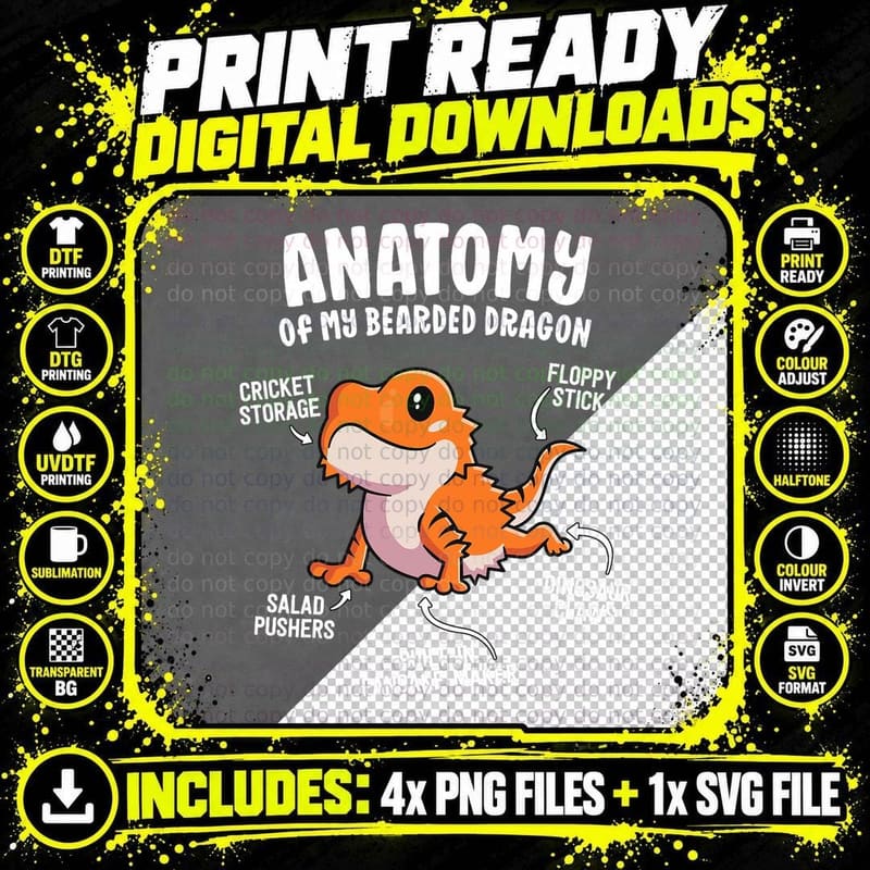 Anatomy of a Bearded Dragon Shirt Gift for Reptile Lover Png SVG Digital Bundle