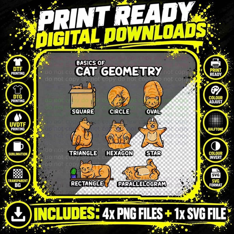 Basic Cat Geometry Cute Cat Lover Cat Owner Math School Png SVG Digital Bundle