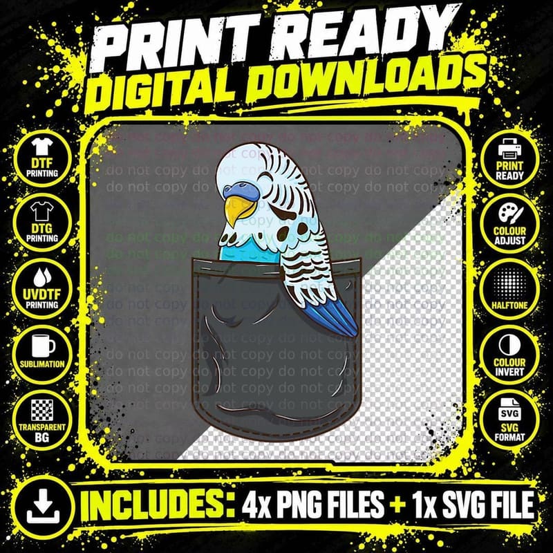 Budgie in Pocket Parakeet, Bird Lover Gift Png SVG Digital Bundle