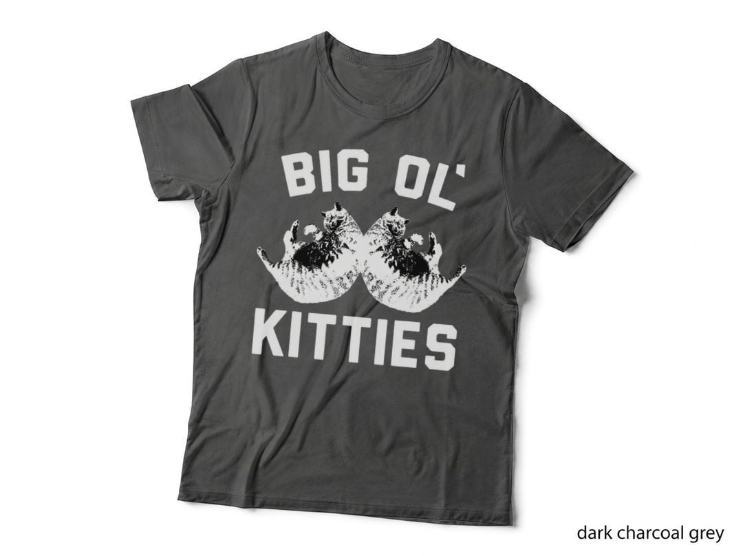 Cat Big Ol Kitties Cat Lover, Cats for Women, Kitty, Feline Obsessed T-Shirt