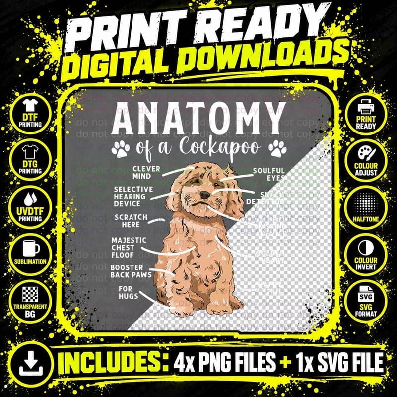 Cockapoo Dog Owner Anatomy of a Cockapoo, for Women Png SVG Digital Bundle