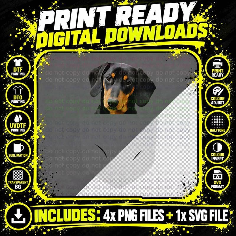 Cute Dachshund in a Pocket Tshirt Funny Dachshund Owners Png SVG Digital Bundle