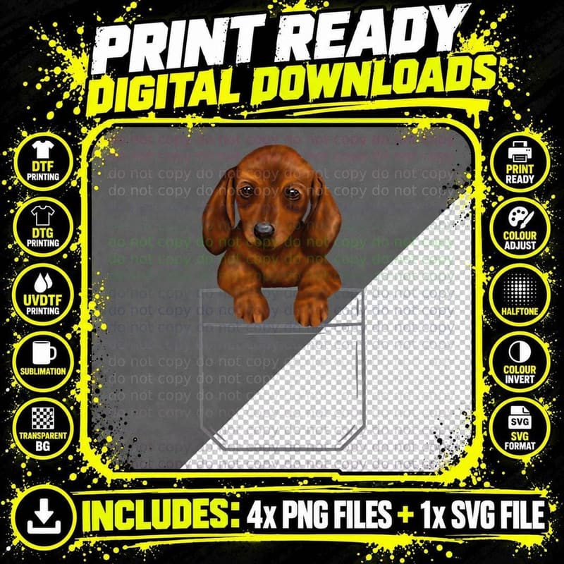 Dachshund in Pocket Funny Dog - Dog Lovers, Cute Pet Png SVG Digital Bundle