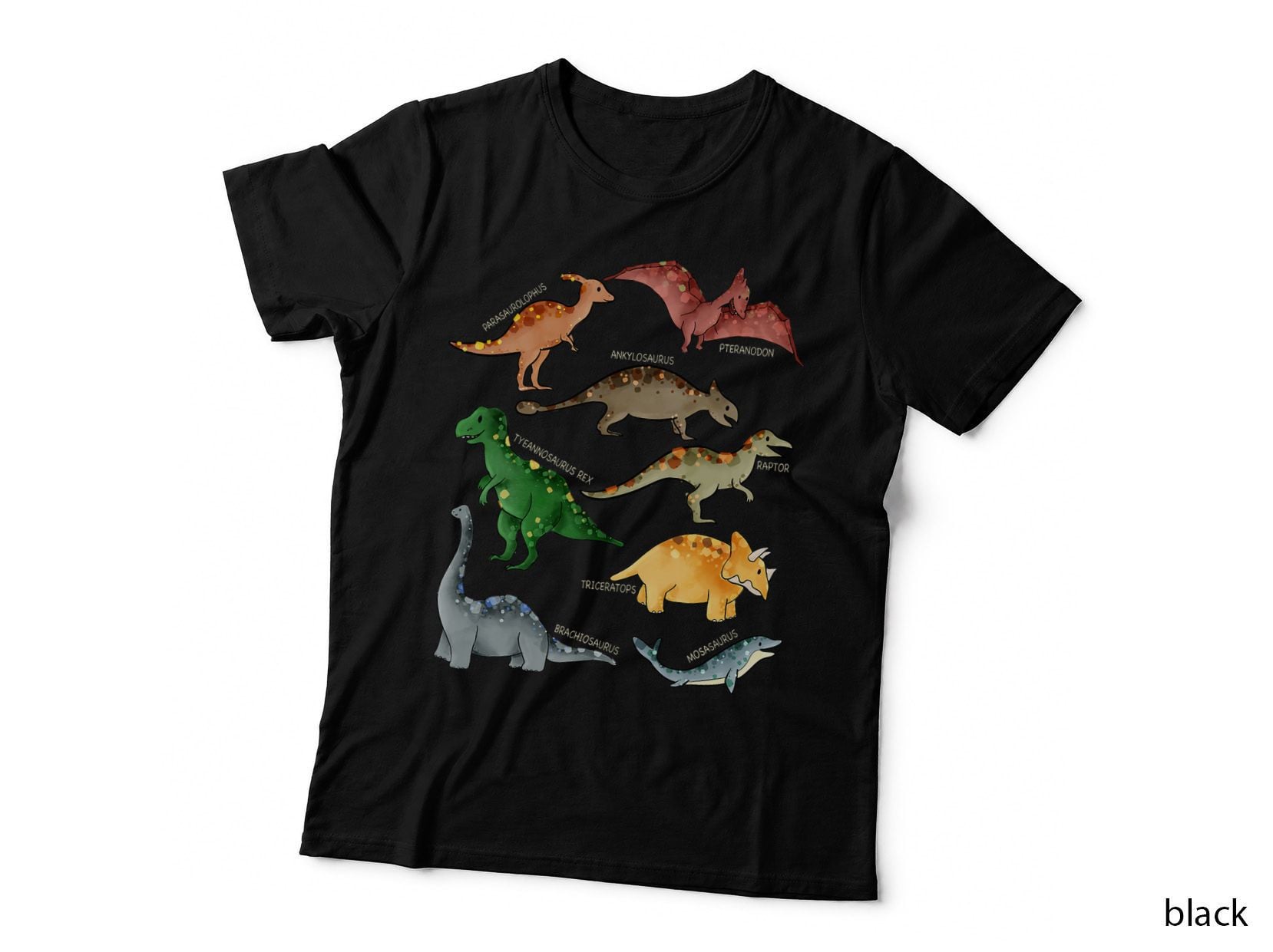 Dinosaur Favorite Types of Dinosaurs T-Rex, Dino Lovers Gift T-Shirt