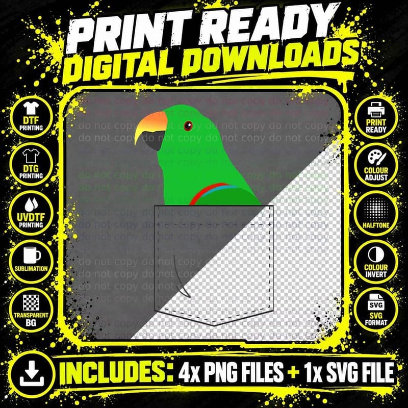 Eclectus Male Parrot, Fake Pocket, Bird Lover Gift Png SVG Digital Bundle
