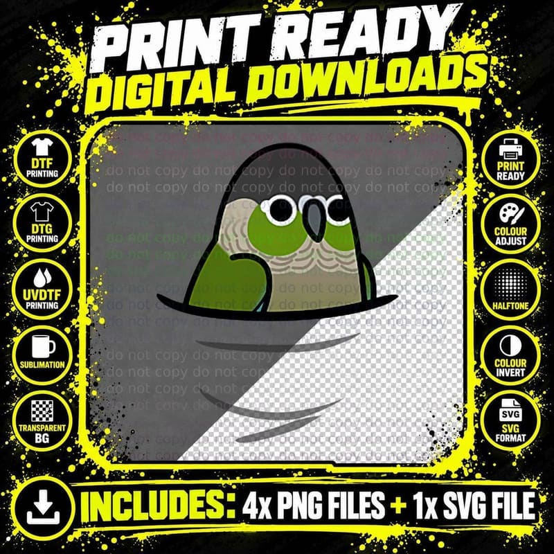 Pocket Bird' Range Green Cheek Conure Png SVG Digital Bundle