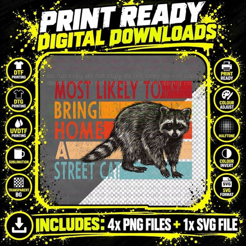 Adopt a Street Cat Shirt Street Cat Funny Raccoon Lovers Png SVG Digital Bundle