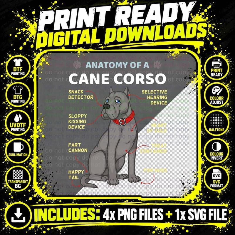 Anatomy of Cane Corso Italian Mastiff Dog Owner T-Shirt Png SVG Digital Bundle