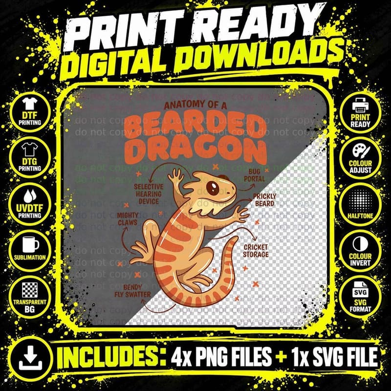 Anatomy of a Bearded Dragon Awesome Pogona Reptile Lover Png SVG Digital Bundle