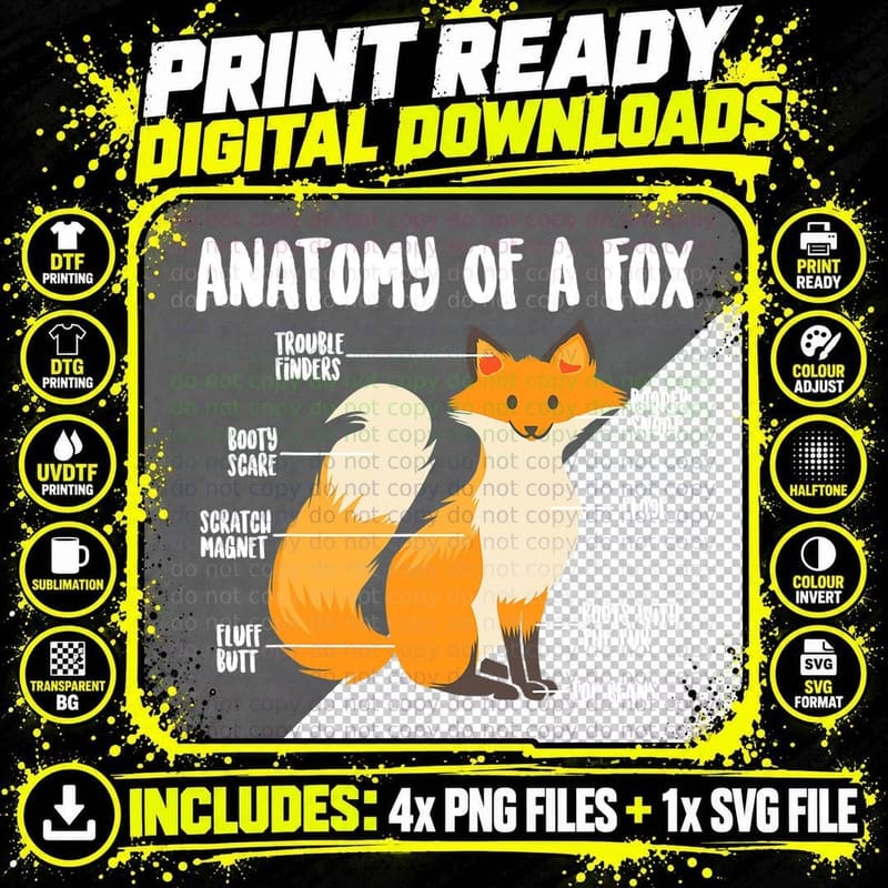 Anatomy of a Fox Cute Sweet Carnivore Funny Animal Gift Png SVG Digital Bundle