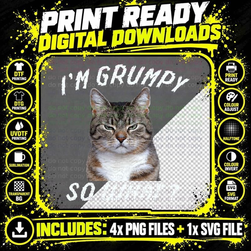 Angry Cat Meme I'm Grumpy So What, Funny Cat, Sarcastic Png SVG Digital Bundle