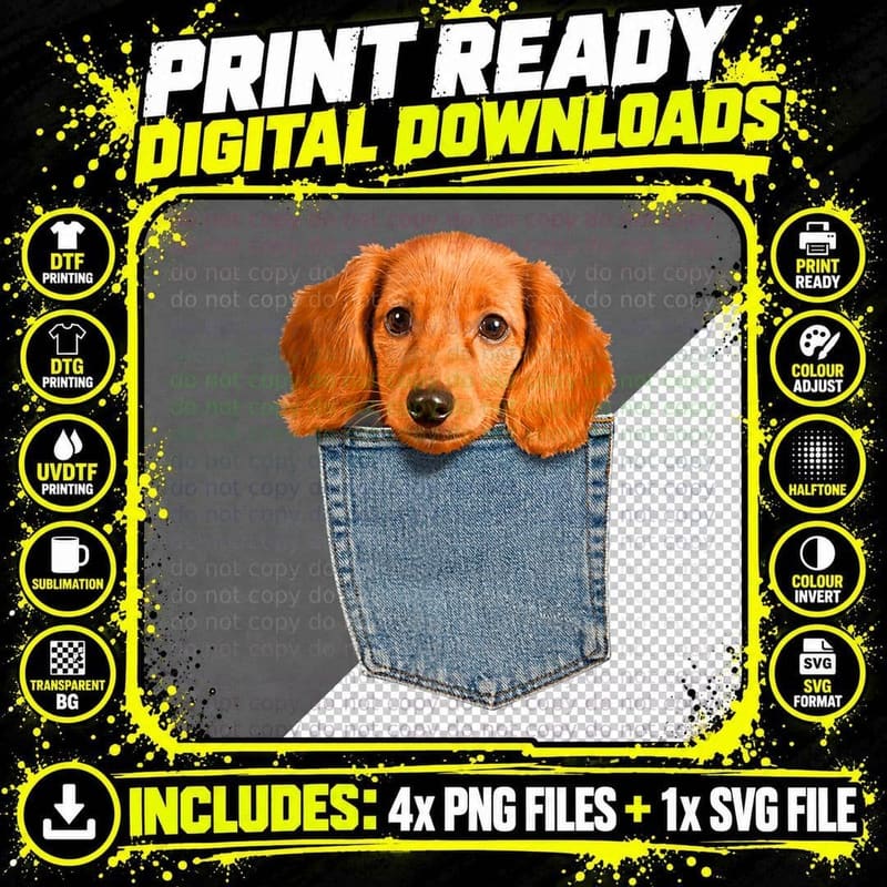 Beagle in My Pocket Shirt Cute Puppy Dachshund Dog Png SVG Digital Bundle