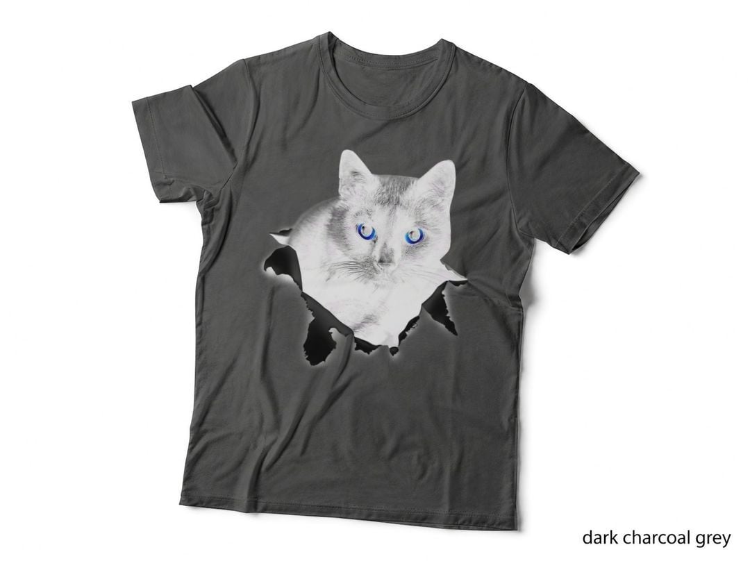 Black Cat Torn Cloth Gifts for Cat Lover, Cat Dad, Cat Mom T-Shirt