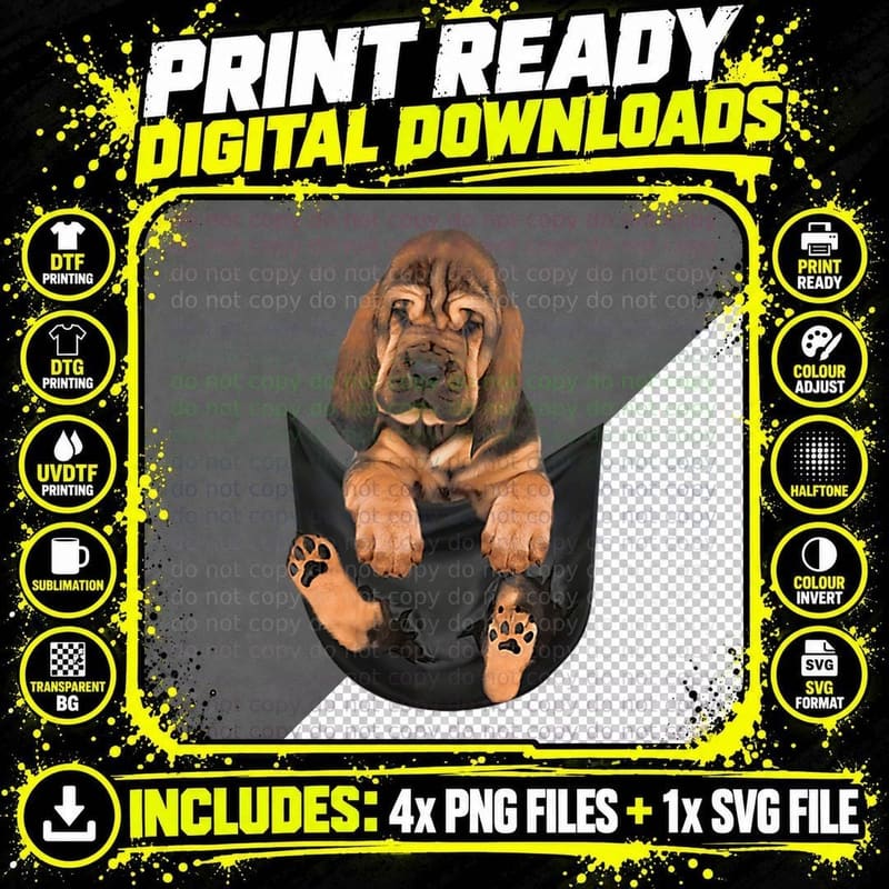 Bloodhound Pocket Cute Bloodhound Puppy in Pocket Png SVG Digital Bundle