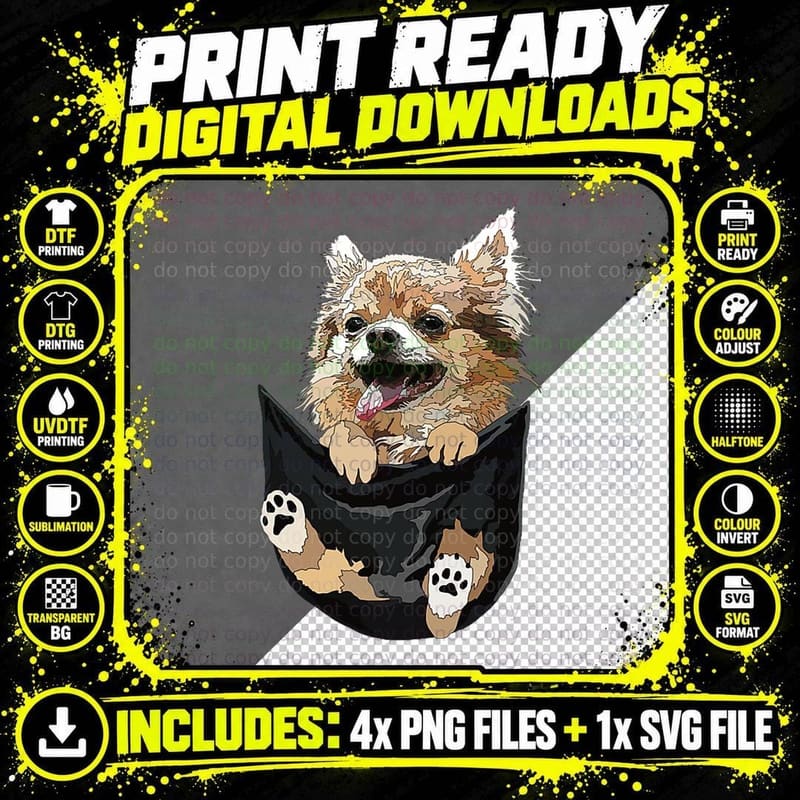 Chihuahua in Pocket Chihuahua Long Haired Chiwawa Dog Png SVG Digital Bundle