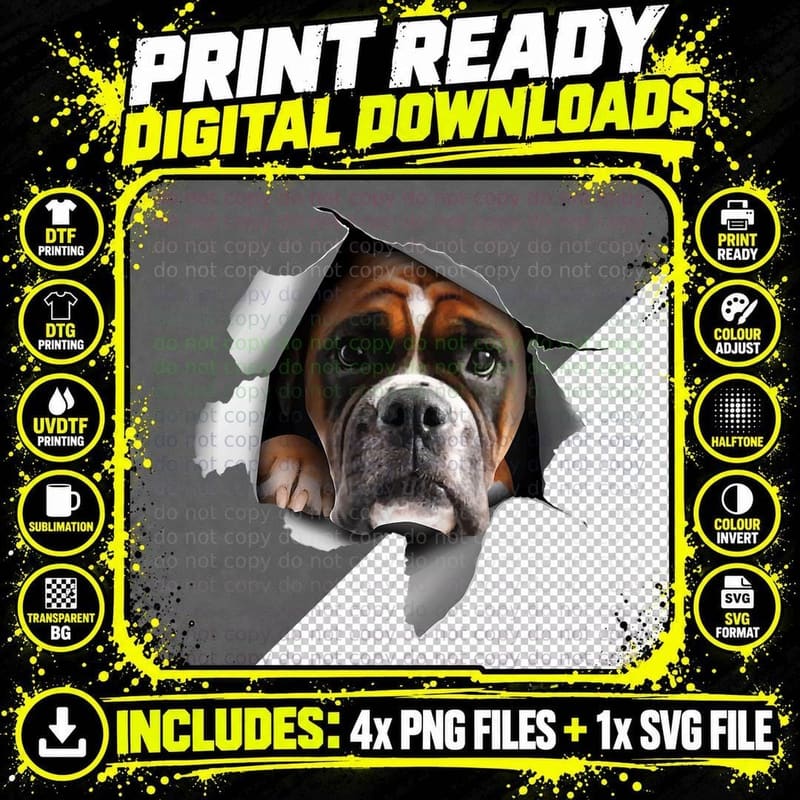 Cool Boxer Dog for Men Women Puppy Owner Dog Lover Png SVG Digital Bundle