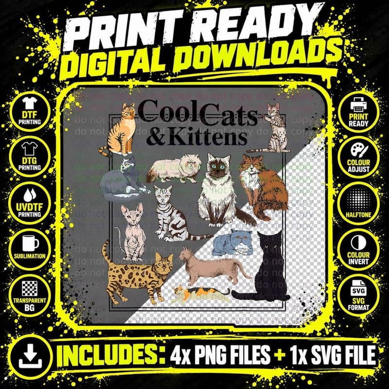 Cools Cat and Kitten Cat Types Funny T-Shirt Png SVG Digital Bundle