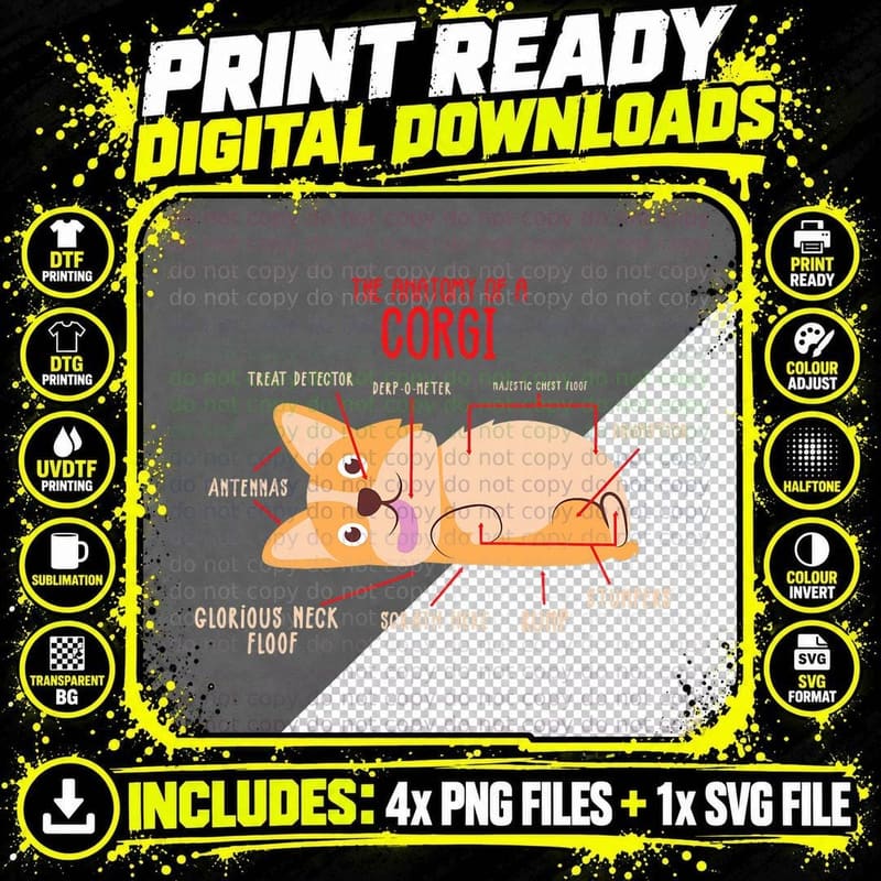 Corgi Anatomy of a Corgi Funny Dog Owner Gift T-Shirt Png SVG Digital Bundle