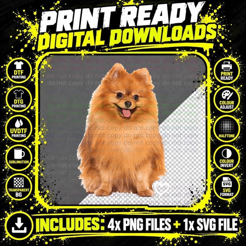 Cute Pomeranian Dog Graphics - Gift Idea for Mom Png SVG Digital Bundle