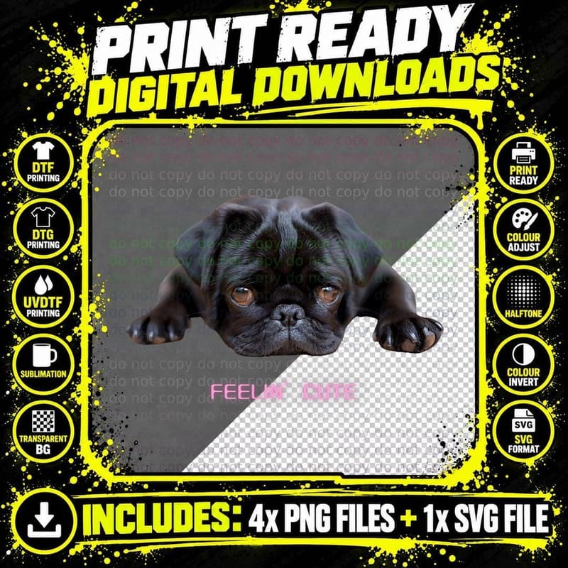 Feelin' Cute Black Pug Dog Lover Dark Puppy, Pugs Png SVG Digital Bundle