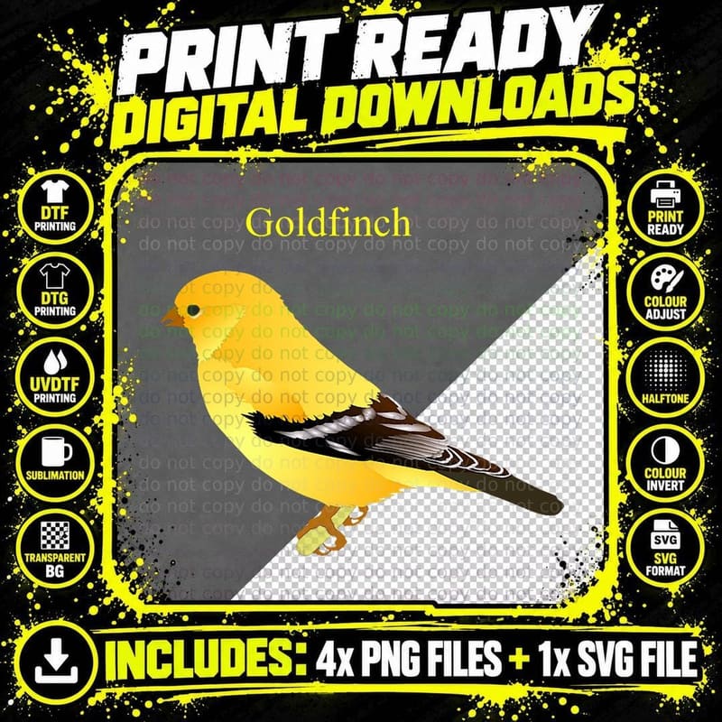 Goldfinch Songbird T-Shirt Cute Yellow Bird Art Png SVG Digital Bundle