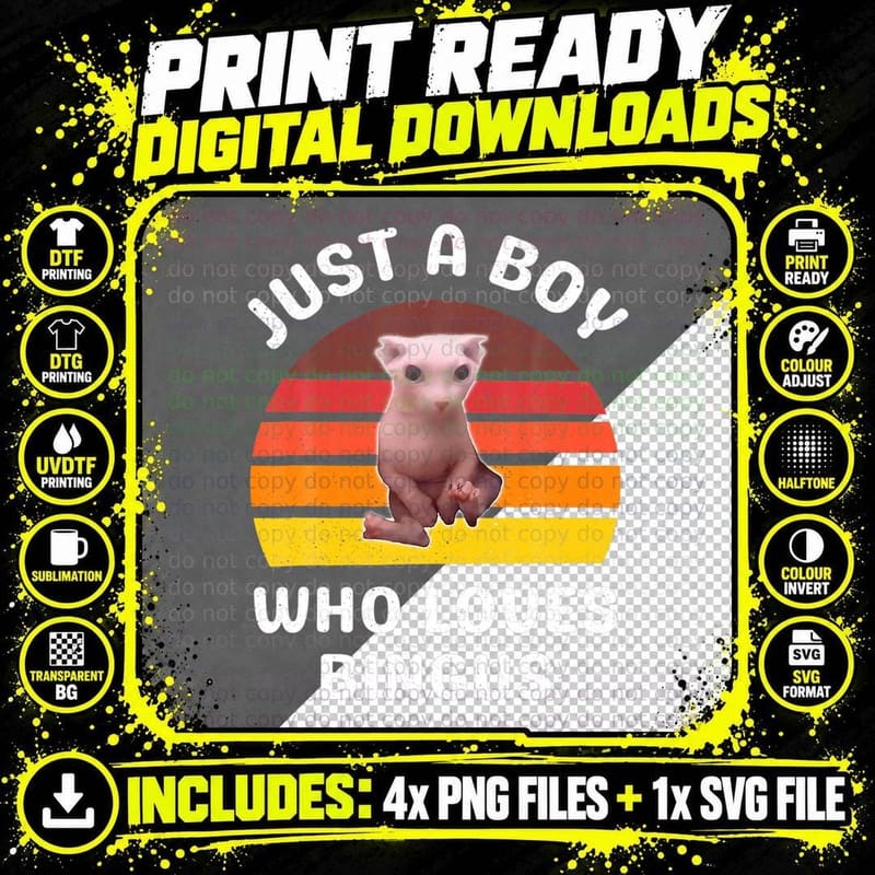 Just a Boy Who Loves Bingus Funny Hairless Sphynx Cat Png SVG Digital Bundle