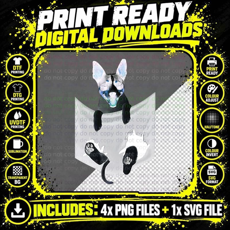 Rat Terrier Dog in Pocket, Rattie Puppy Png SVG Digital Bundle