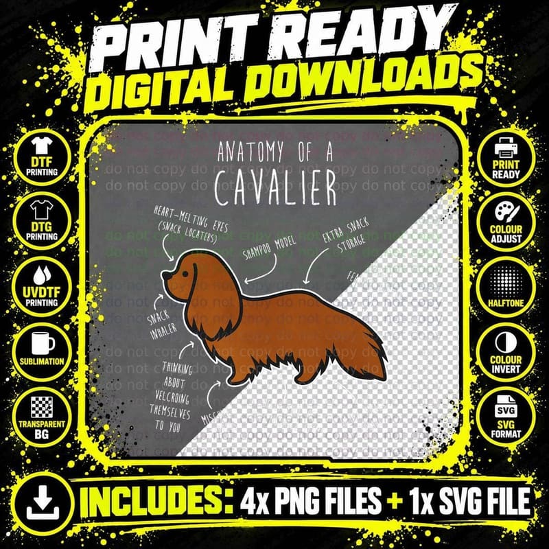 Ruby Cavalier King Charles Spaniel Dog Mom Funny Anatomy Png SVG Digital Bundle