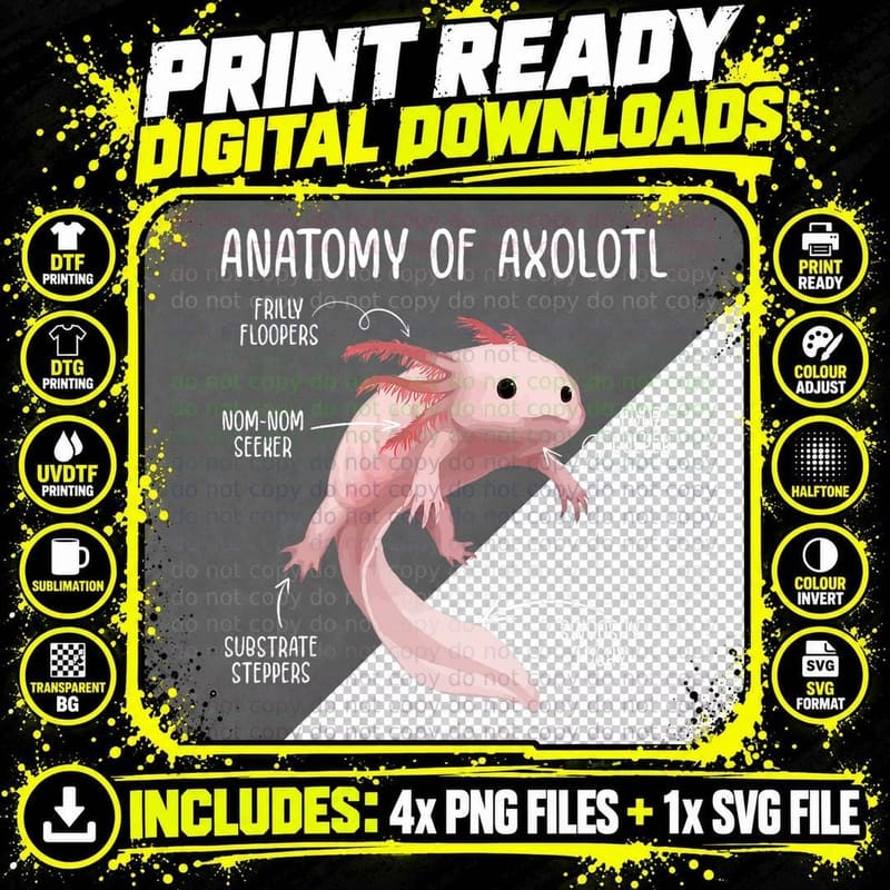 Anatomy of Axolotl for Kids Aquarium Pet Animal T-Shirt Png SVG Digital Bundle