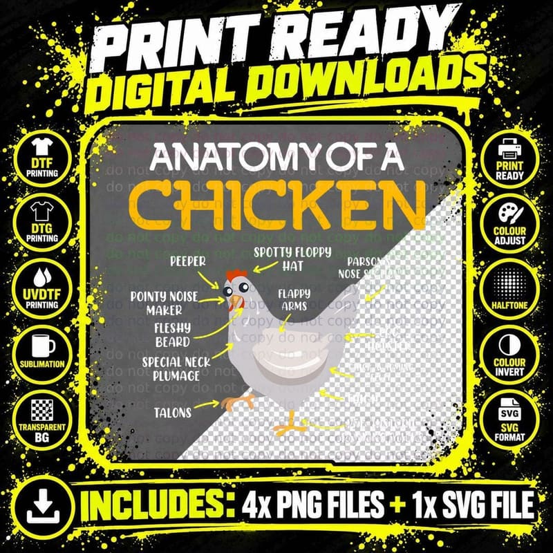 Anatomy of a Chicken Farmers Chicken Coop T-Shirt Png SVG Digital Bundle